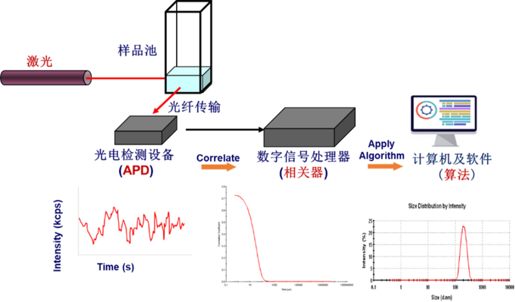 纳米粒度及Zeta电位分析技术在农药悬浮剂中的应用综述-SamEd - 副本1962.jpg