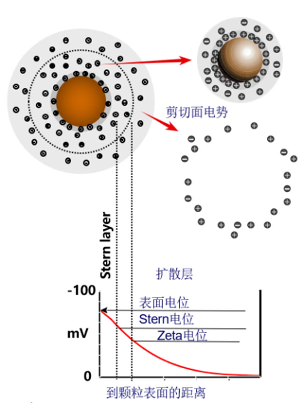 纳米粒度及Zeta电位分析技术在农药悬浮剂中的应用综述-SamEd - 副本2583.jpg