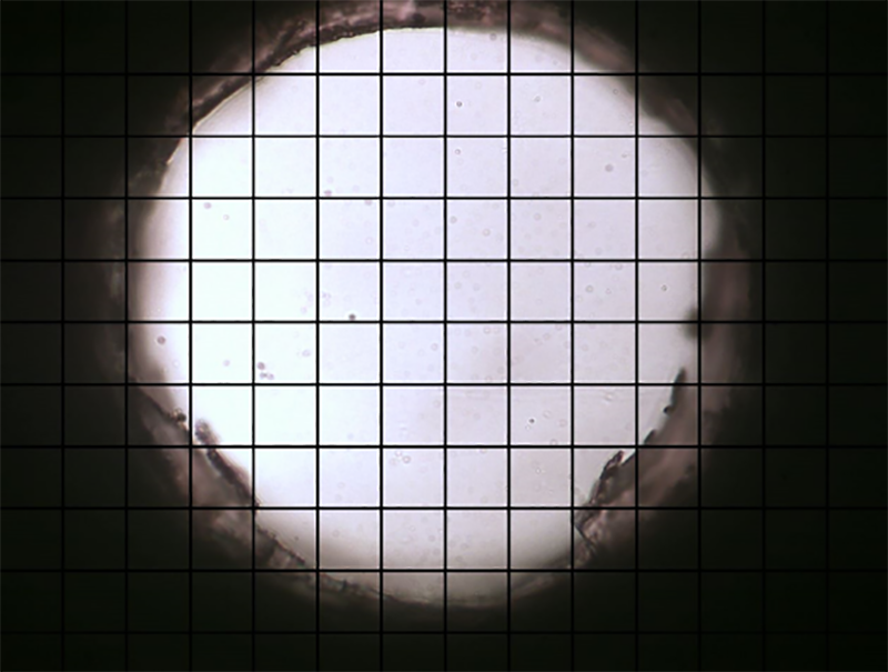 image006.png image006.png