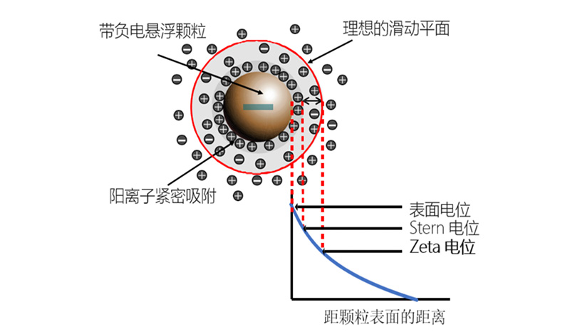 电泳光散射Zeta电位表征技术在电池材料中的应用(一)1439.jpg 电泳光散射Zeta电位表征技术在电池材料中的应用(一)1439.jpg