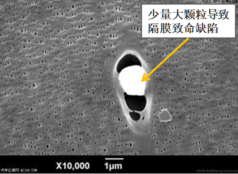 image005.png image005.png