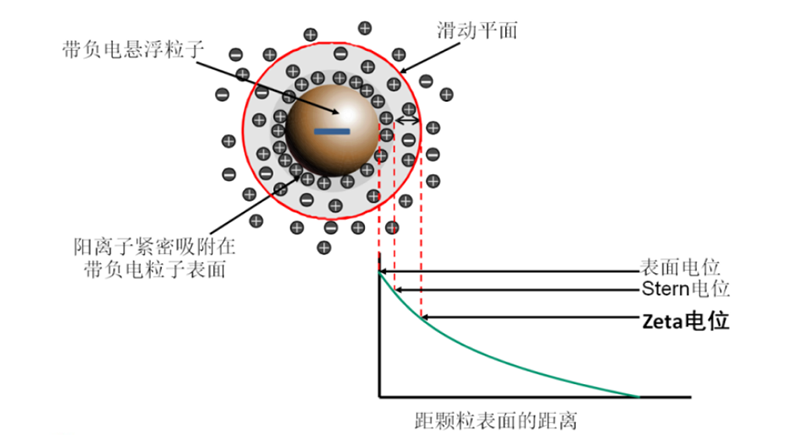 OMEC 纳米粒度及电位分析仪NS-90Z Plus的新功能新特性_ZG704.png