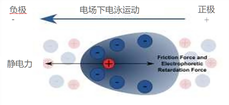 image004.png image004.png