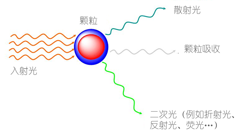 image003.png image003.png