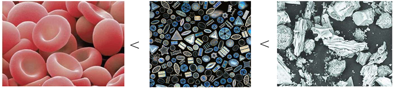 image022.png image022.png